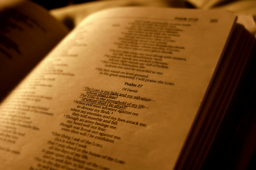 Day 27 Psalm for the Day, used under Creative Commons License