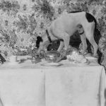 children's sermon on Matthew 10:10-28