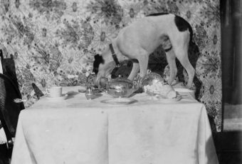 children's sermon on Matthew 10:10-28