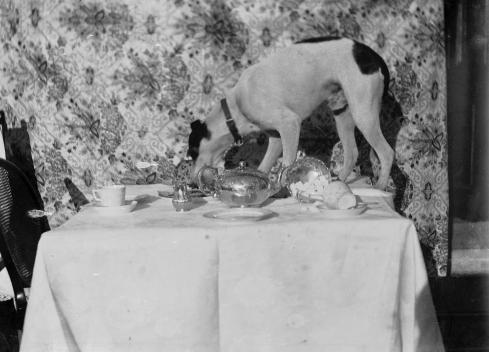 children's sermon on Matthew 15:10-28